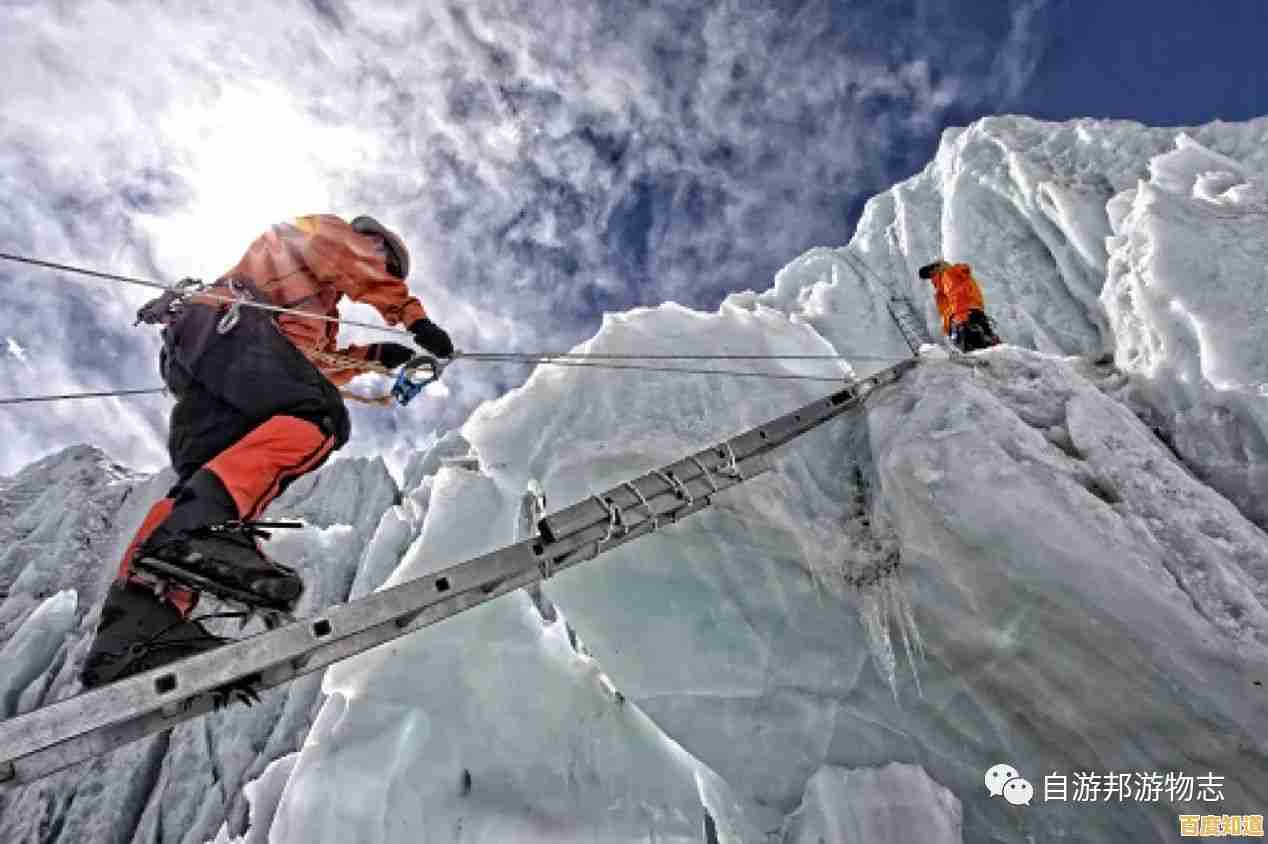 掌握天梯图吧的攀登秘诀：从入门到精通的完整指南