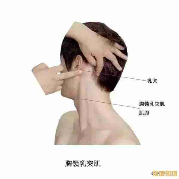 一根手指就能玩转《滚动的天空》你准备好冲上高分了吗？