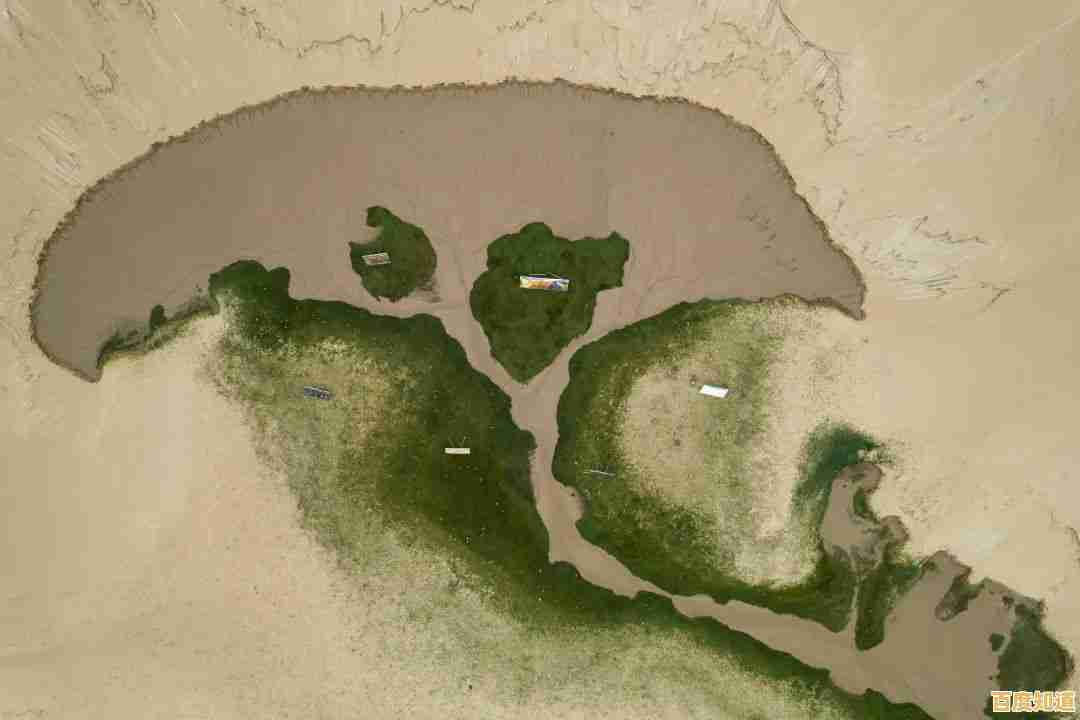 《荒野乱斗彩虹服》自带无限金币钻石,这还不快来体验卡通英雄大战? 《荒野乱斗彩虹服》自带无限金币钻石,这还不快来体验卡通英雄大战?