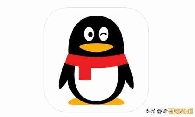 最新版QQ2019安卓安装包下载，畅享稳定聊天体验与丰富功能