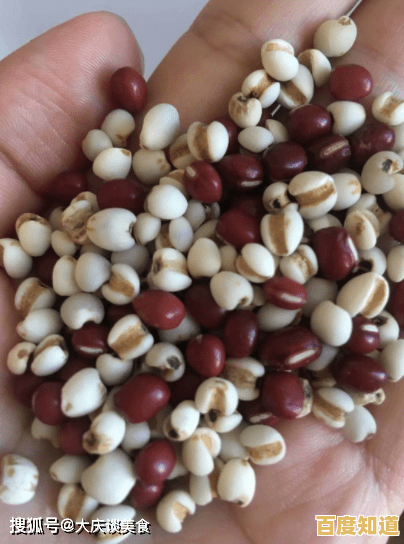 想体验无限搭配乐趣？快来试试《假期夏季装扮》吧！