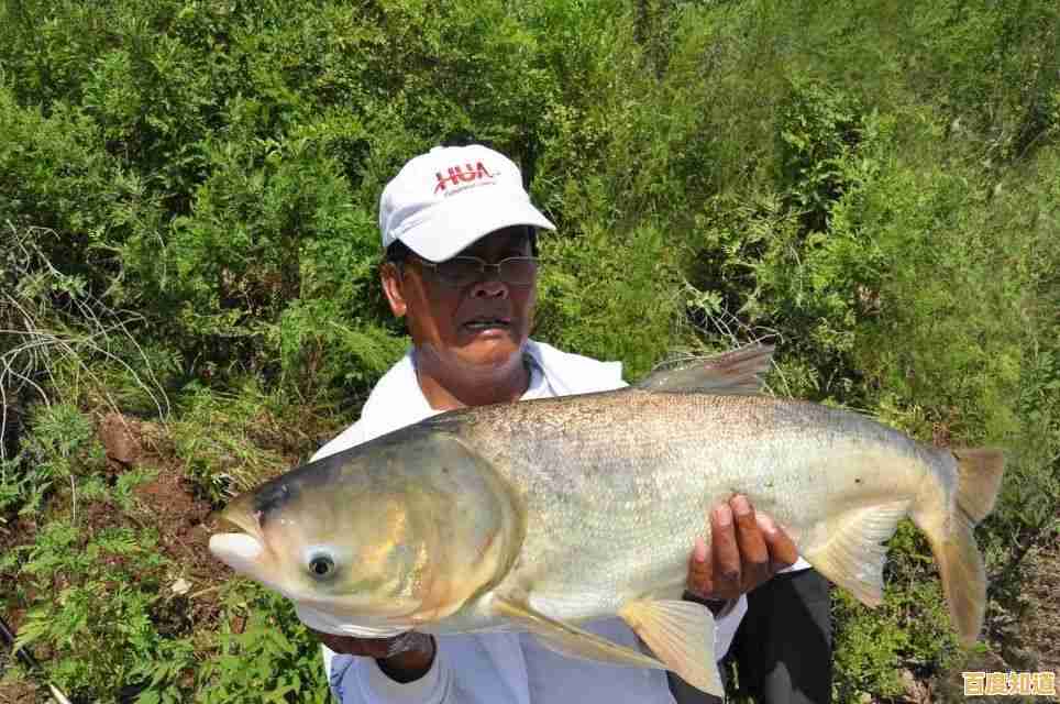 小鱼教您应对Word输入覆盖现象，恢复文档正常排版技巧