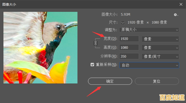 高效缩小图片尺寸的步骤指南，确保画质不失真且便于分享