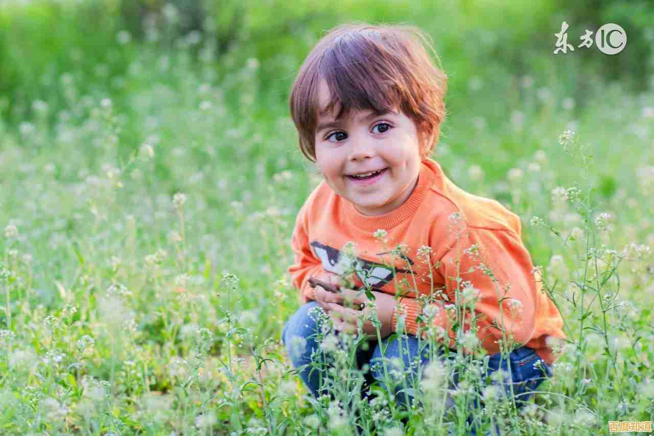 从幼年到生存大师，希望之村正版》的脑力挑战你敢接招吗？
