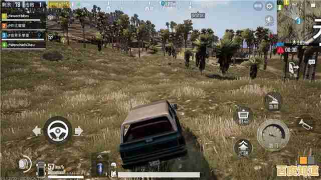 如何为Win11选择最佳屏幕缩放比例？详细解析与建议