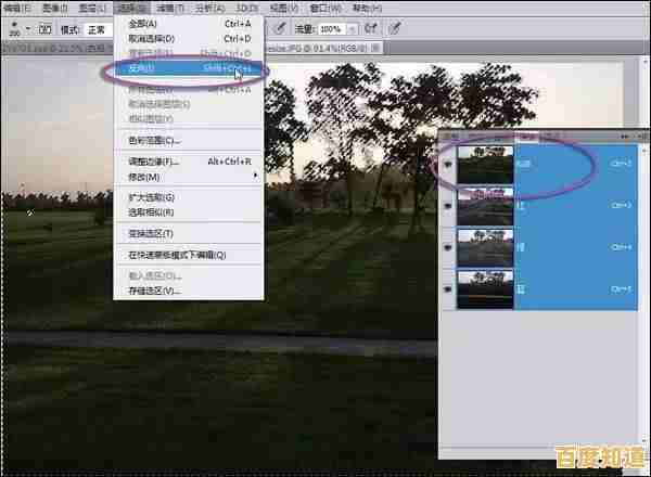巧妙运用PS反选功能：让你的照片瞬间脱颖而出，展现独特艺术魅力