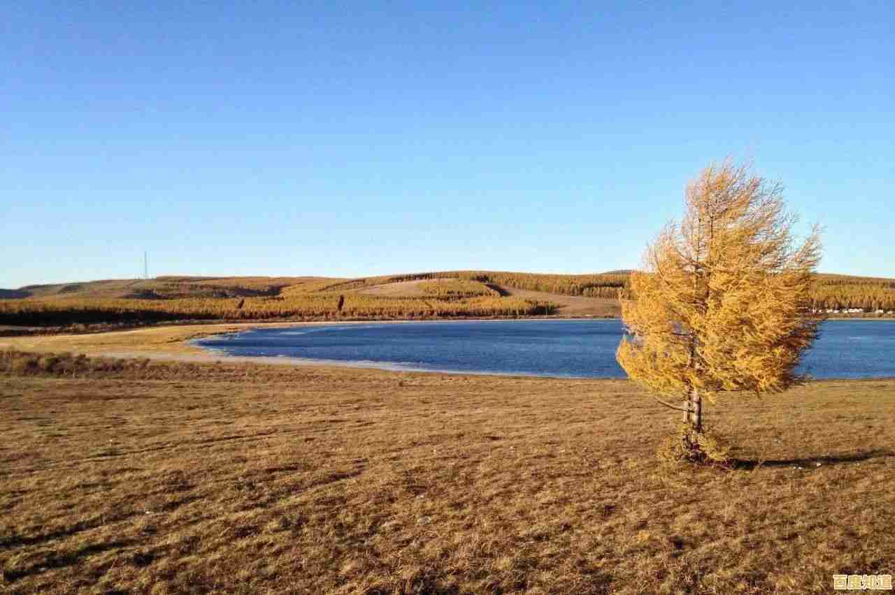 精选相机天梯图指南:助你找到完美设备,提升摄影创作体验! 精选相机天梯图指南:助你找到完美设备,提升摄影创作体验!