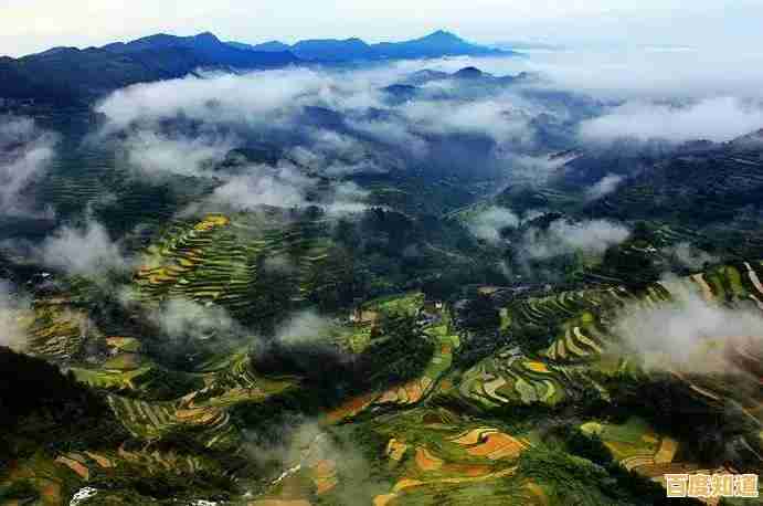 精选相机天梯图指南:助你找到完美设备,提升摄影创作体验! 精选相机天梯图指南:助你找到完美设备,提升摄影创作体验!