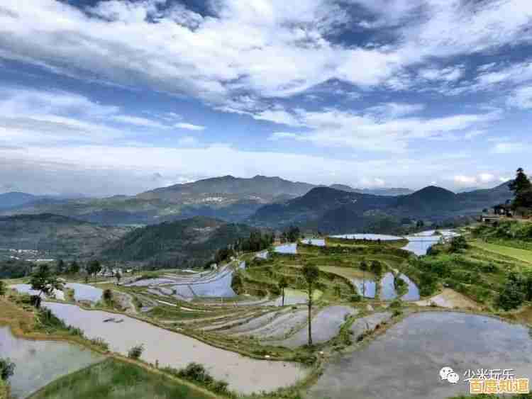 苹果芯片性能天梯指南：详细对比助你做出最佳设备选择