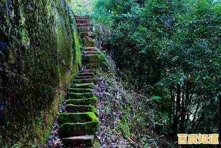 苹果芯片性能天梯指南：详细对比助你做出最佳设备选择