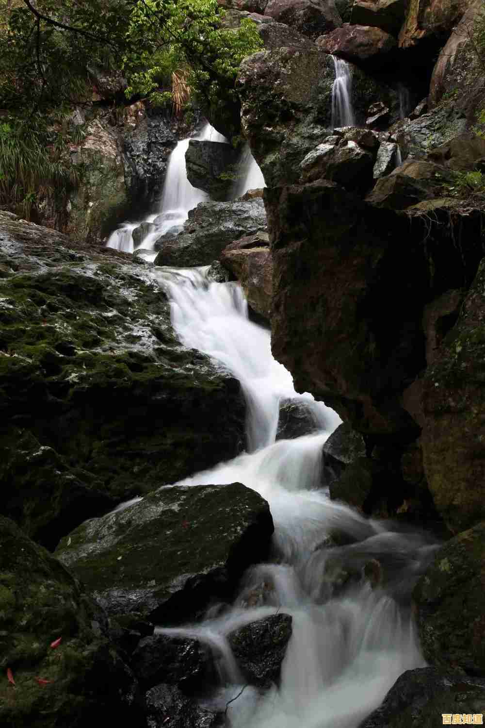 害怕突然出现的怪兽？绝望黑暗洞穴挑战你的反应极限！