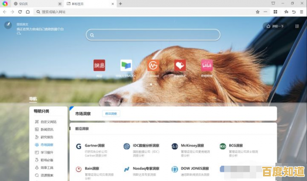Windows 11浏览器全面升级，极速上网体验让您畅享网络新境界！