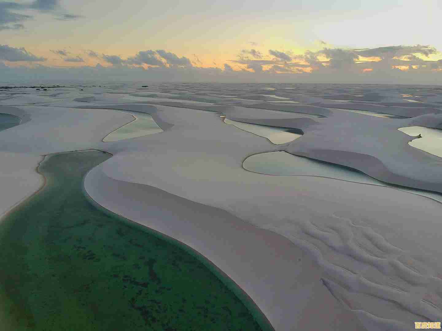 还在为资源发愁?试试迷你世界雨林版本无限迷你币如何? 还在为资源发愁?试试迷你世界雨林版本无限迷你币如何?