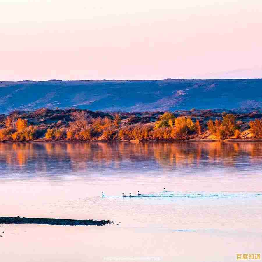 全新升级西部数据SSD天梯图:高速大容量兼备,为专业工作流程加速 全新升级西部数据SSD天梯图:高速大容量兼备,为专业工作流程加速