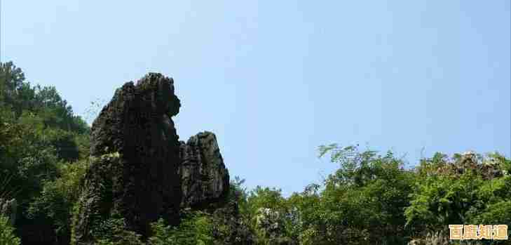 叫上小伙伴,躺平发育迷宫版的多样玩法,你准备好了吗? 叫上小伙伴,躺平发育迷宫版的多样玩法,你准备好了吗?