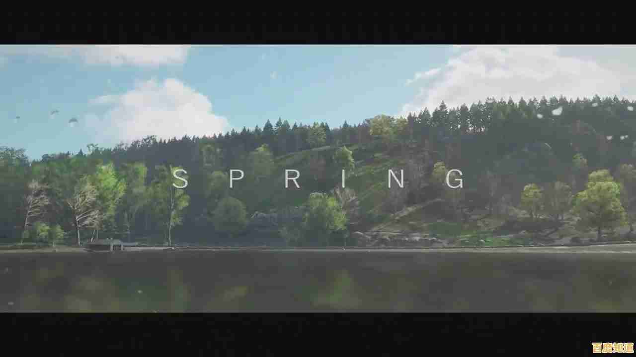 厌倦了豪车和专业赛车?试试《城市汽车赛车手》感受真实车辆功能的奇葩竞速吧! 厌倦了豪车和专业赛车?试试《城市汽车赛车手》感受真实车辆功能的奇葩竞速吧!