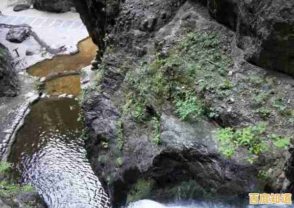 内存天梯图全解析:如何根据价格挑选高性价比内存条 内存天梯图全解析:如何根据价格挑选高性价比内存条