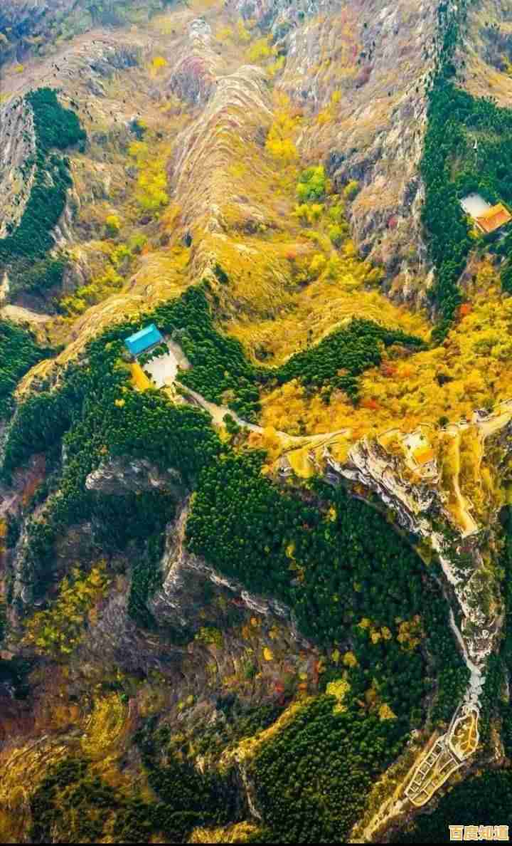 内存天梯图全解析:如何根据价格挑选高性价比内存条 内存天梯图全解析:如何根据价格挑选高性价比内存条