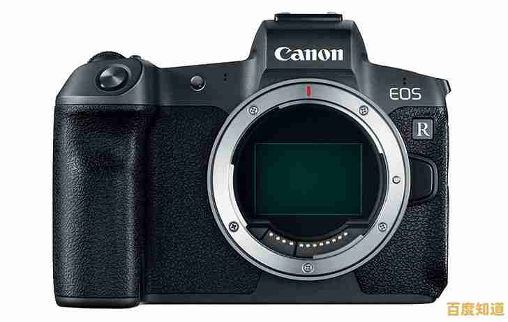 2024年十大单反相机排名与选购指南,助你轻松入手 2024年十大单反相机排名与选购指南,助你轻松入手