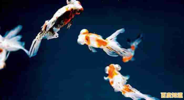 实用指南:小鱼带您一步步操作如何打开ISO文件 实用指南:小鱼带您一步步操作如何打开ISO文件