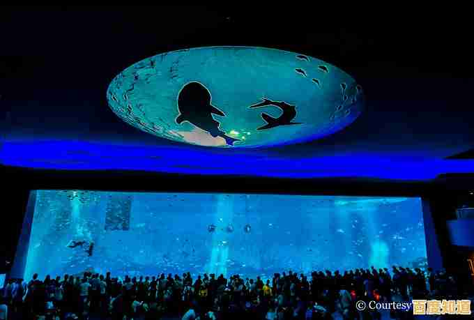 畅游视频海洋,共赴一场精彩纷呈的影视盛宴之旅! 畅游视频海洋,共赴一场精彩纷呈的影视盛宴之旅!