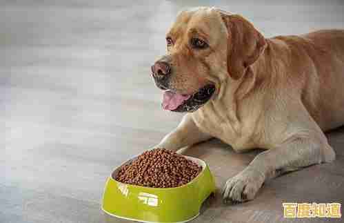 还在找操作简单的休闲手游?再见吧我的脂肪》挑战你的反应力! 还在找操作简单的休闲手游?再见吧我的脂肪》挑战你的反应力!