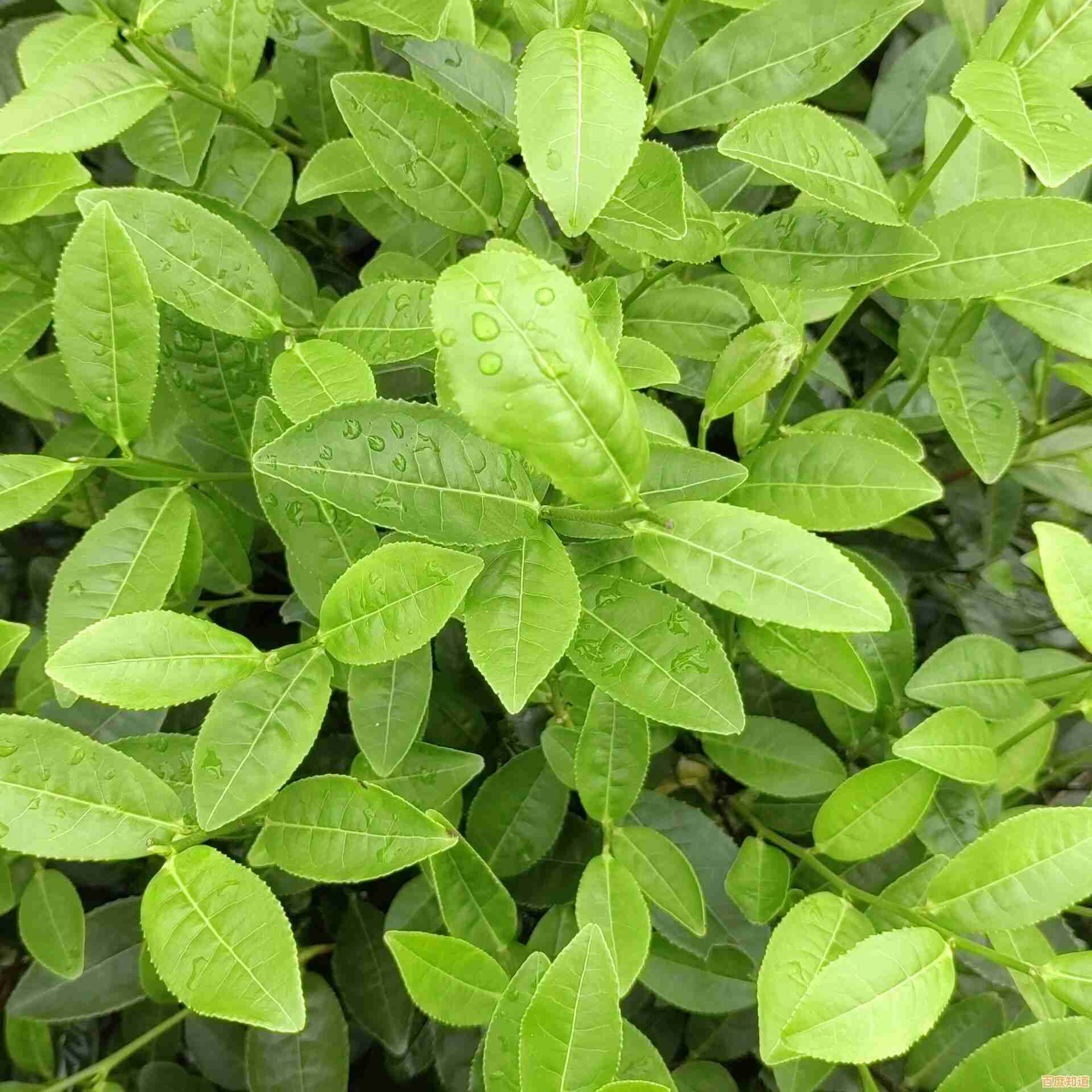 想体验无限创造的乐趣?我的世界》等你来探索! 想体验无限创造的乐趣?我的世界》等你来探索!