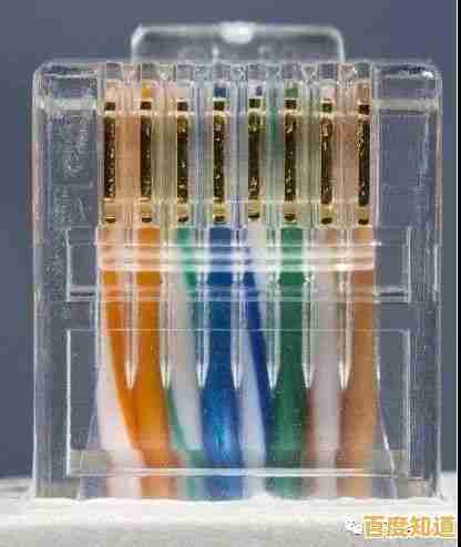 跟着小鱼学网线水晶头制作,详细步骤一学就会 跟着小鱼学网线水晶头制作,详细步骤一学就会