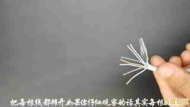 跟着小鱼学网线水晶头制作,详细步骤一学就会 跟着小鱼学网线水晶头制作,详细步骤一学就会