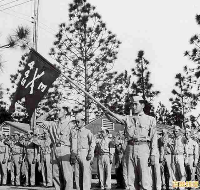 如何积累战斗经验成为二战王者?快来'勇猛之路二战'证明你的实力! 如何积累战斗经验成为二战王者?快来'勇猛之路二战'证明你的实力!