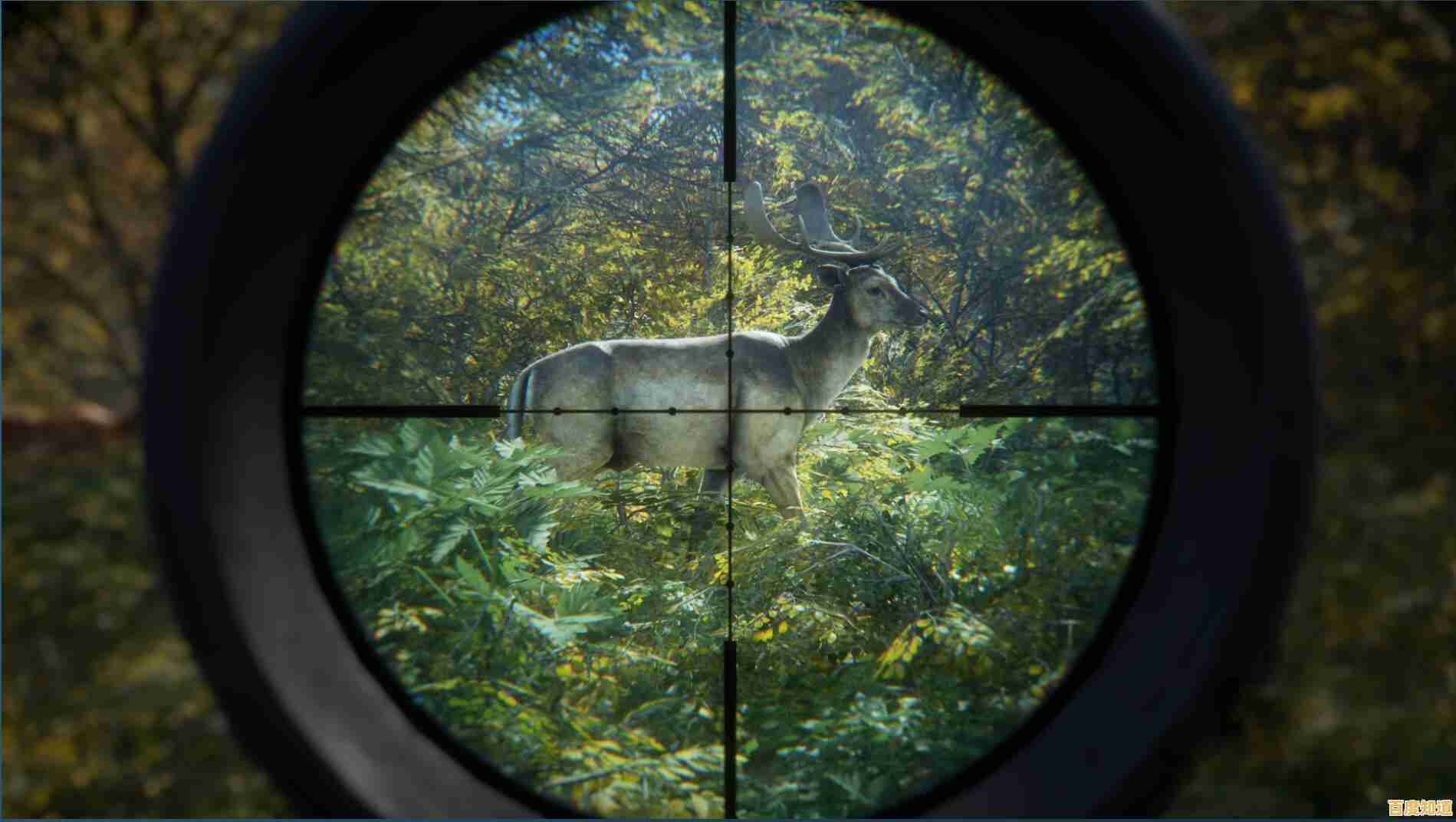 还在寻找真实3D冒险游戏?猎人荒野的召唤》手机版你怎能错过? 还在寻找真实3D冒险游戏?猎人荒野的召唤》手机版你怎能错过?