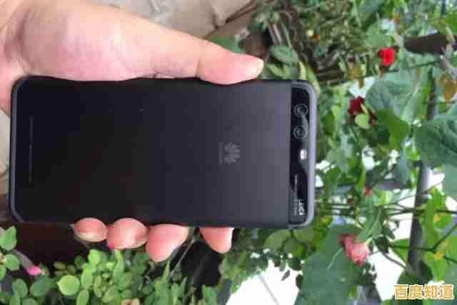 机械硬盘天梯图:高效存储解决方案全面解析 机械硬盘天梯图:高效存储解决方案全面解析