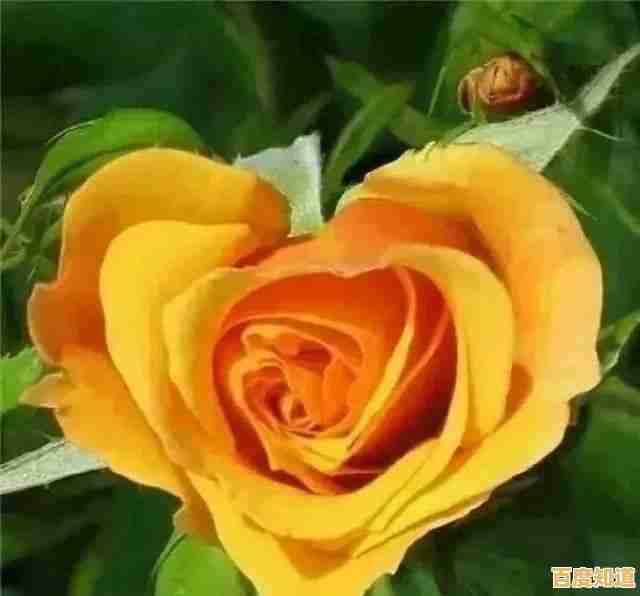 解锁高效清晨:智能闹钟应用的实用选择技巧与推荐 解锁高效清晨:智能闹钟应用的实用选择技巧与推荐