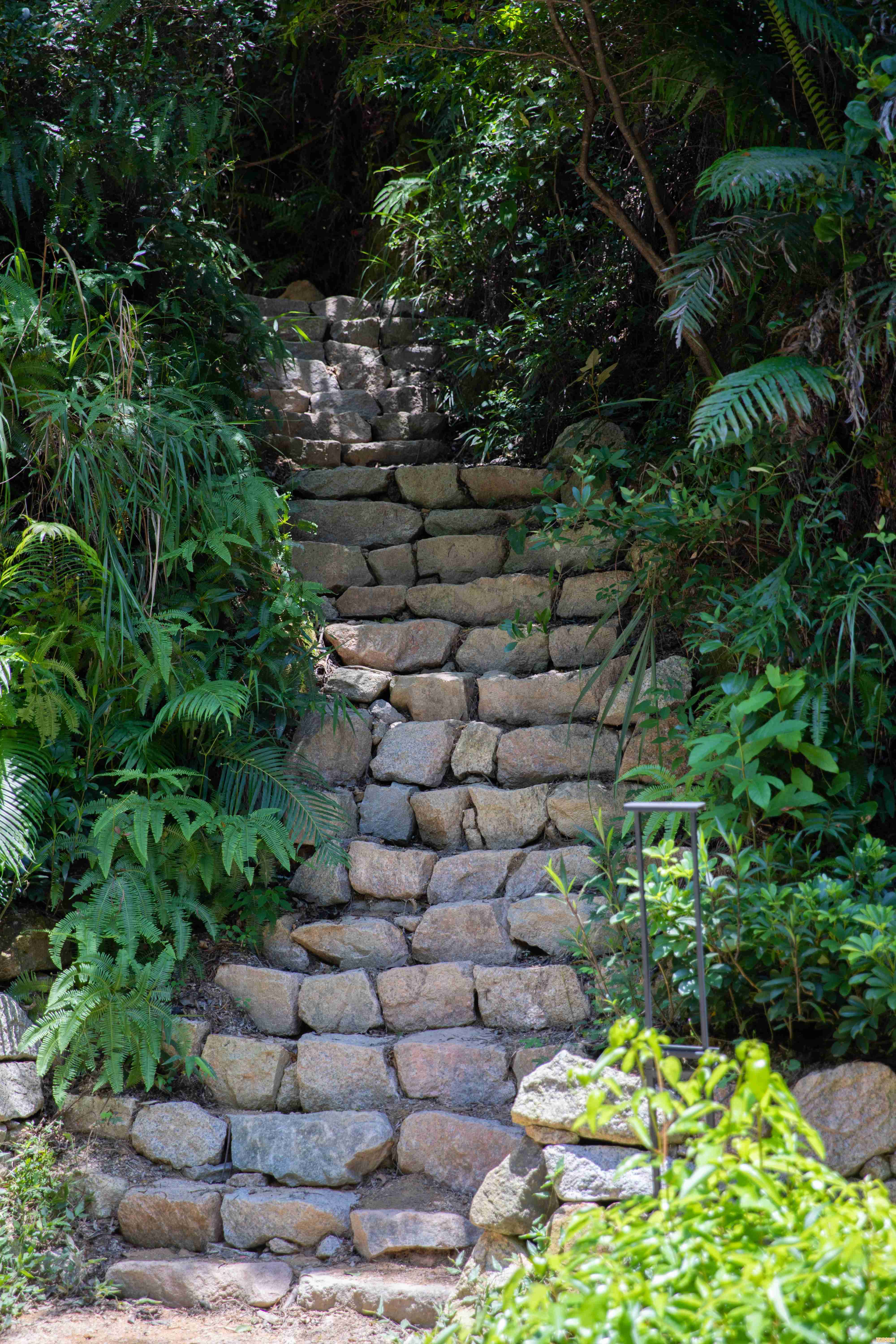 解码都市超级处理器天梯图:如何塑造下一代技术革命与进步蓝图 解码都市超级处理器天梯图:如何塑造下一代技术革命与进步蓝图