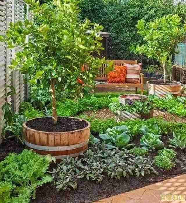 种花种菜还能做料理?角落萌宠农场》的治愈之旅你体验了吗? 种花种菜还能做料理?角落萌宠农场》的治愈之旅你体验了吗?