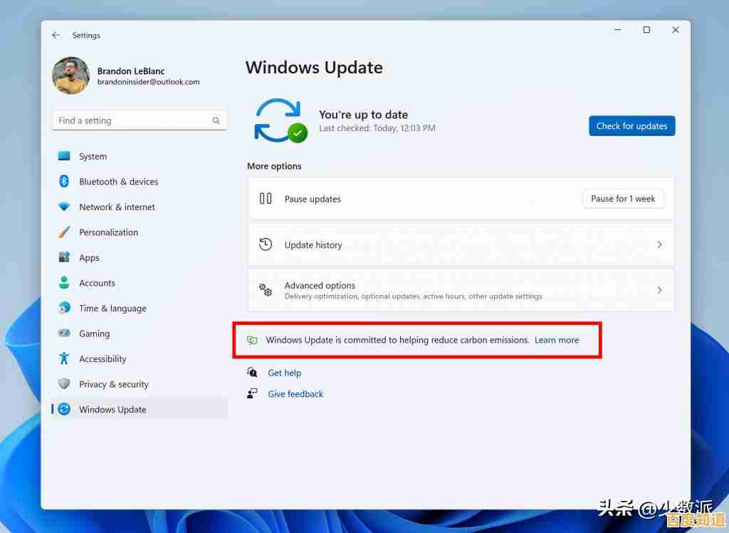 如何彻底关闭Windows 11推送并保留Windows 10系统的完整操作解析 如何彻底关闭Windows 11推送并保留Windows 10系统的完整操作解析