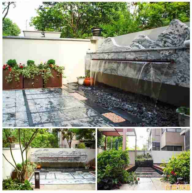 还在寻找心灵慰藉？孤独的鸟儿"让你与小鸟相遇相知！