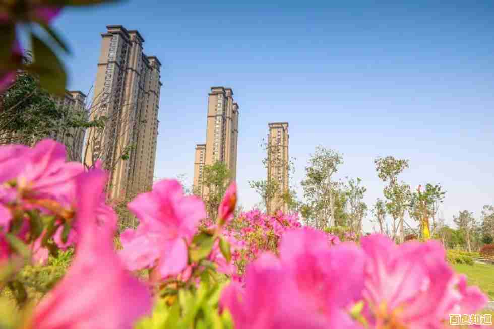 碧蓝航线战舰少女征程指南：最新天梯图助你制霸海洋战场