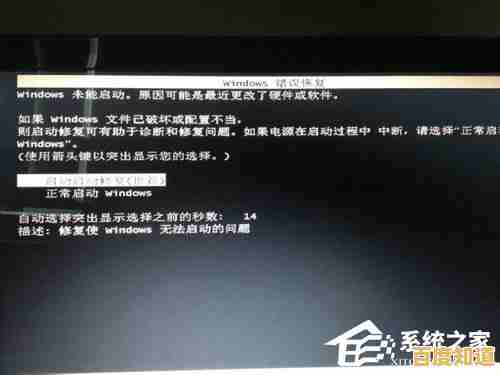 遇到电脑开机黑屏只有鼠标可移动的问题应该怎么处理？