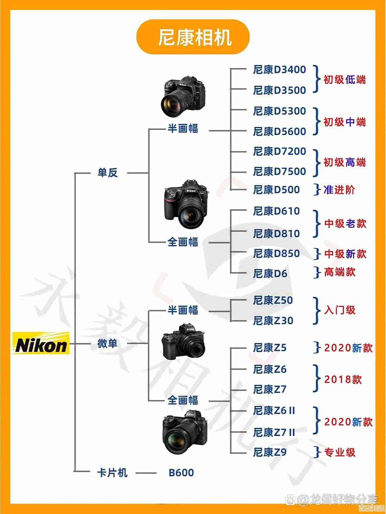 深入解读尼康单反相机系列天梯图，助你快速找到最适合的摄影装备